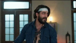 Binddii - 28th November 2025